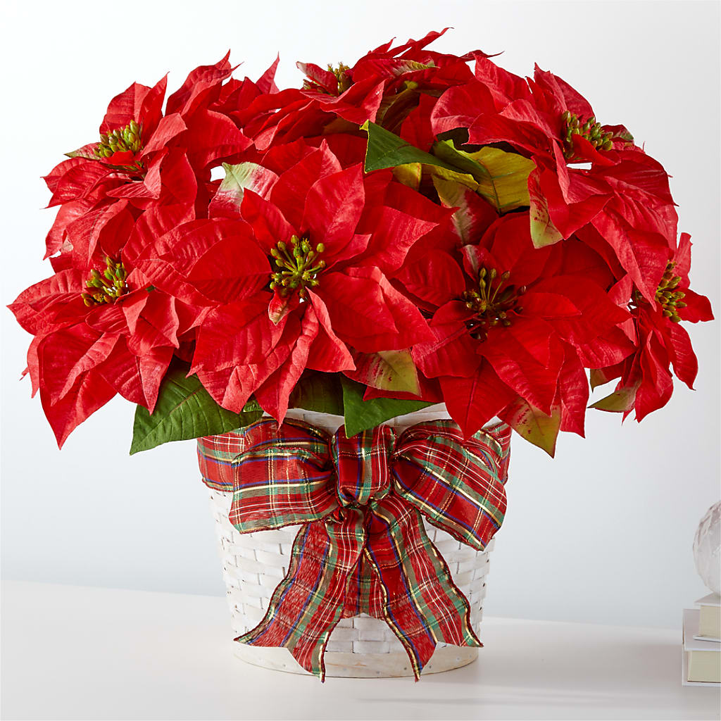 Happiest Holidays Poinsettia – Rambling Rose Florist, Dunedin FL