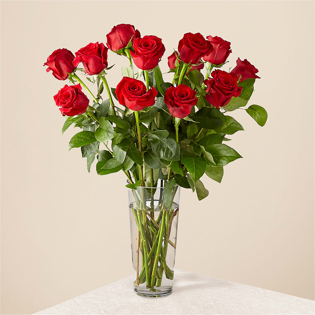 Long Stem Red Rose Bouquet – Rambling Rose Florist, Dunedin FL
