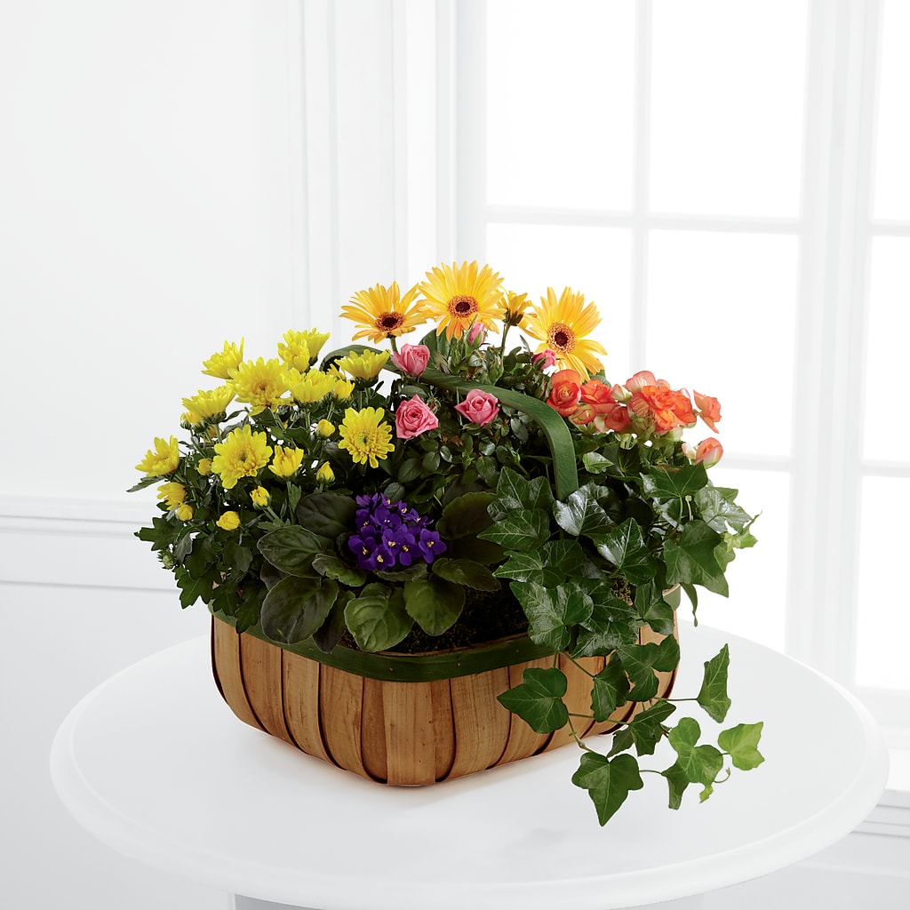 Gentle Blossoms Basket – Rambling Rose Florist, Dunedin FL