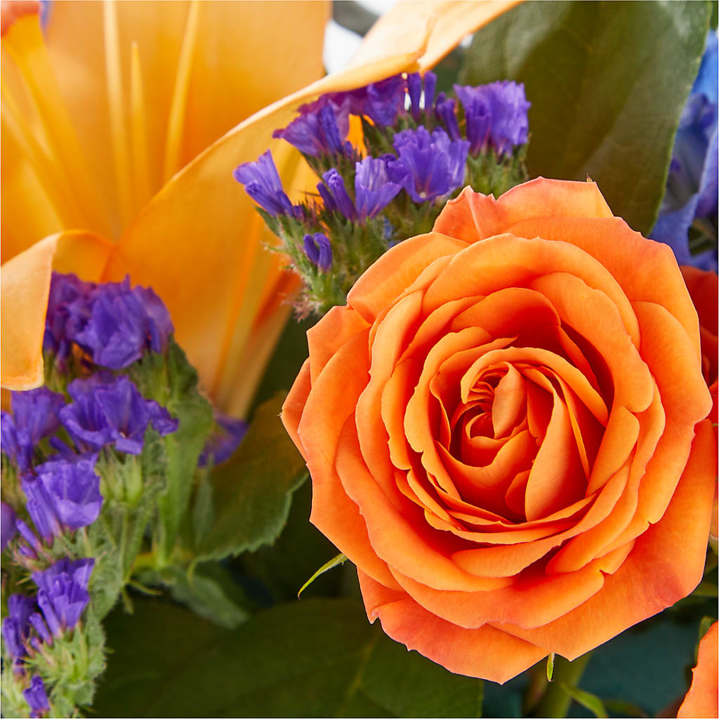 Radiant Citrus Box Bouquet – Rambling Rose Florist, Dunedin FL