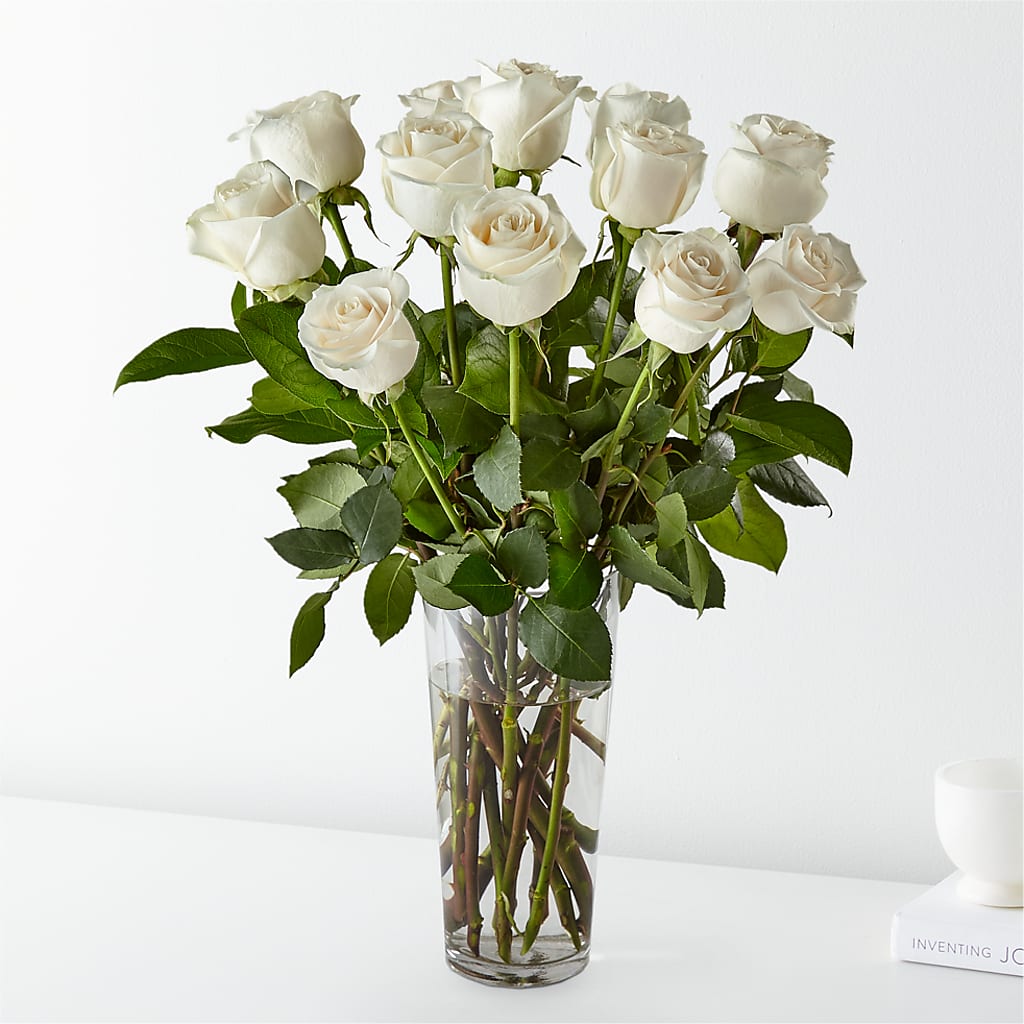 Long Stem White Rose Bouquet – Rambling Rose Florist, Dunedin FL