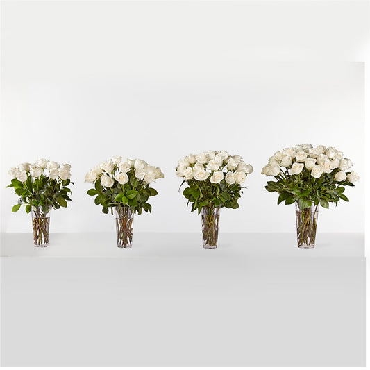 Long Stem White Rose Bouquet – Rambling Rose Florist, Dunedin FL