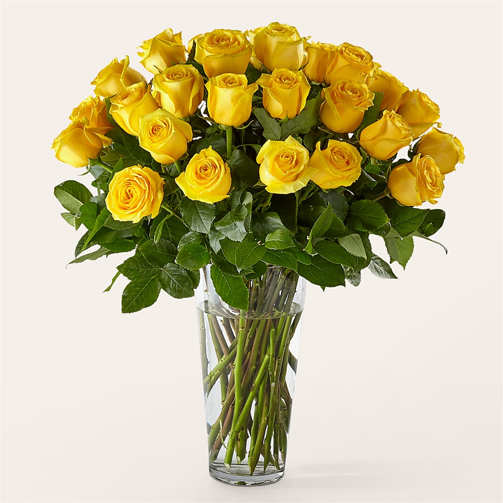 Long Stem Yellow Rose Bouquet – Rambling Rose Florist, Dunedin FL