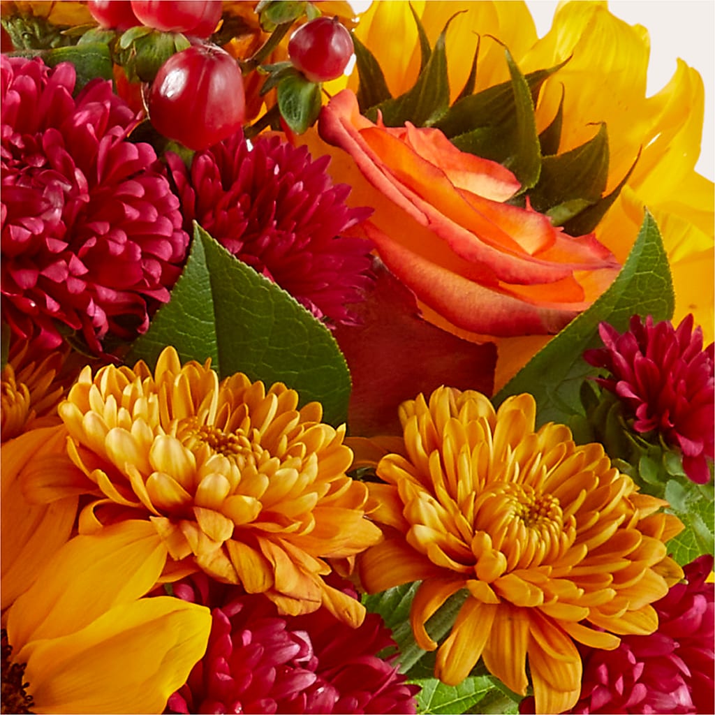 Sweater Season - A Florist Original – Rambling Rose Florist, Dunedin FL