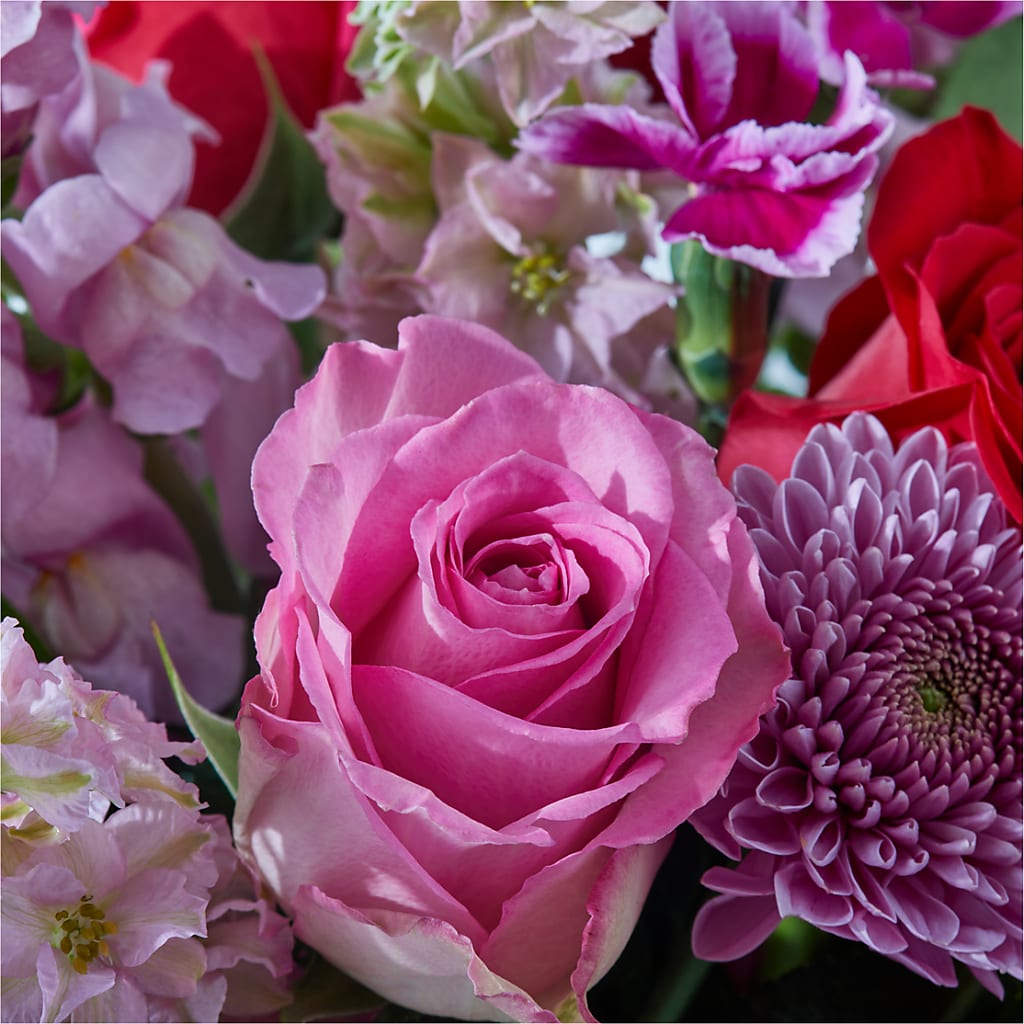 Better Together - A Luxury Florist Original – Rambling Rose Florist, Dunedin FL