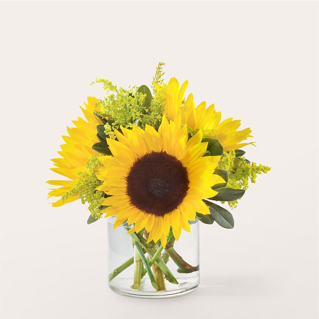 Beaming Sunflower Bouquet – Rambling Rose Florist, Dunedin FL