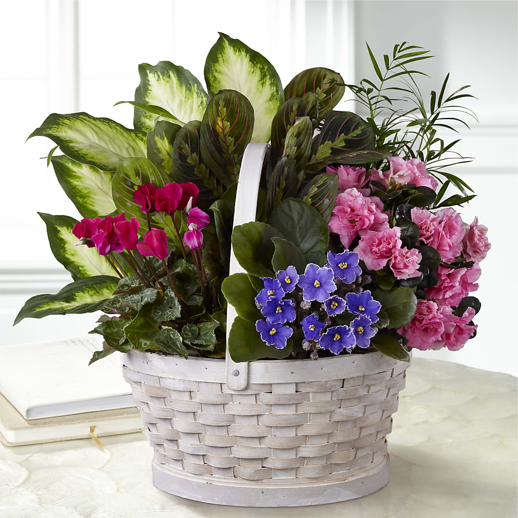 Peaceful Garden Planter – Rambling Rose Florist, Dunedin FL