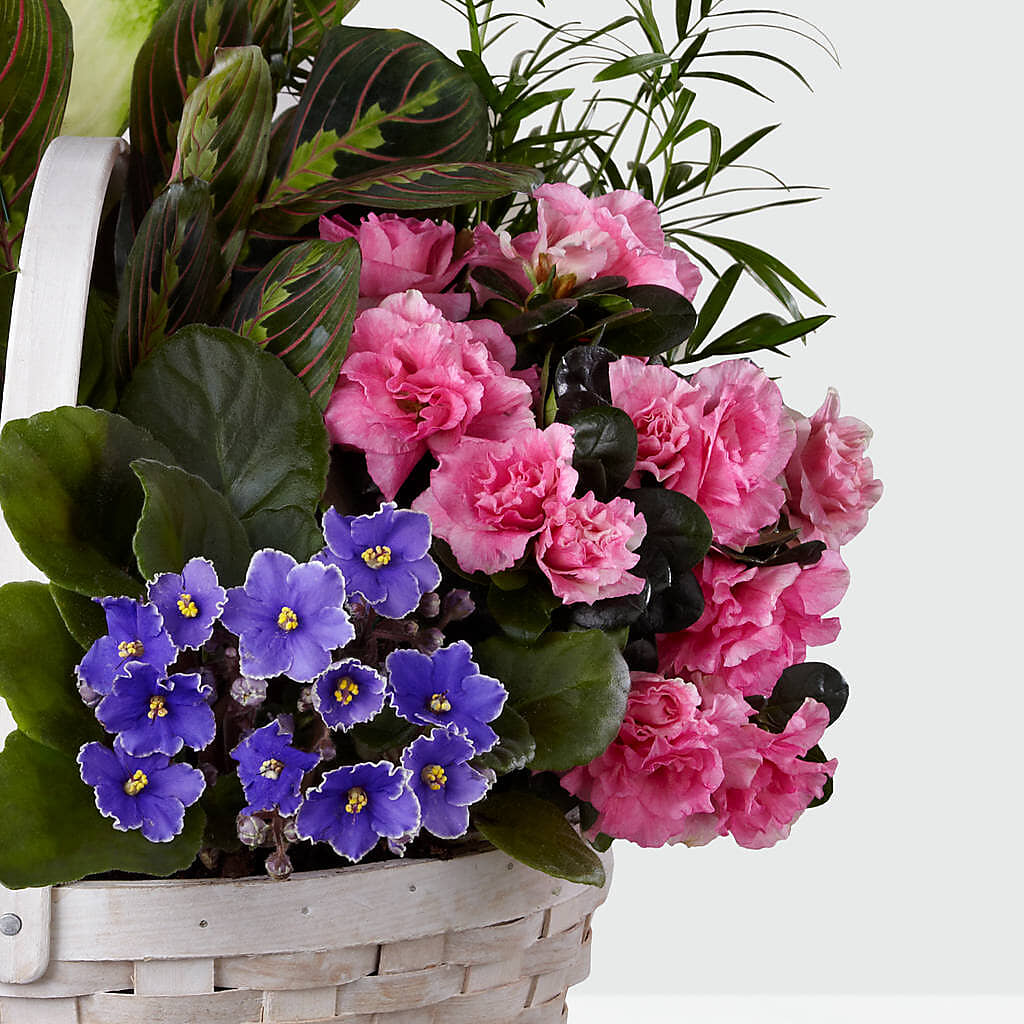 Peaceful Garden Planter – Rambling Rose Florist, Dunedin FL