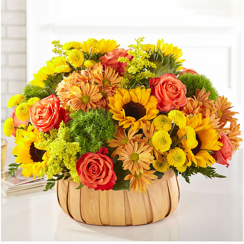Harvest Sunflower Basket – Rambling Rose Florist, Dunedin FL