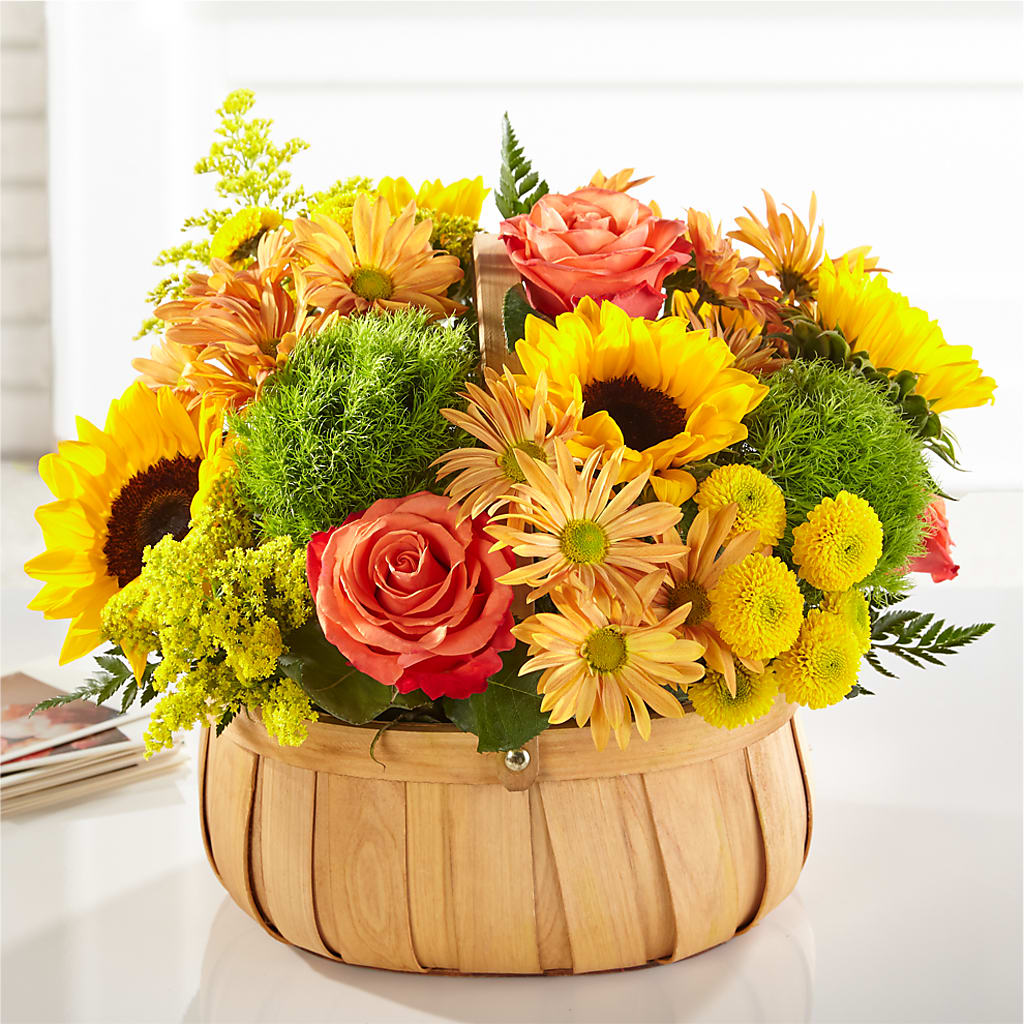 Harvest Sunflower Basket – Rambling Rose Florist, Dunedin FL