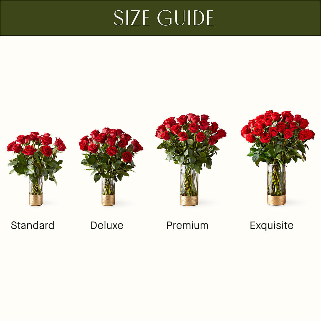 Classic Love Red Rose Bouquet – Rambling Rose Florist, Dunedin FL