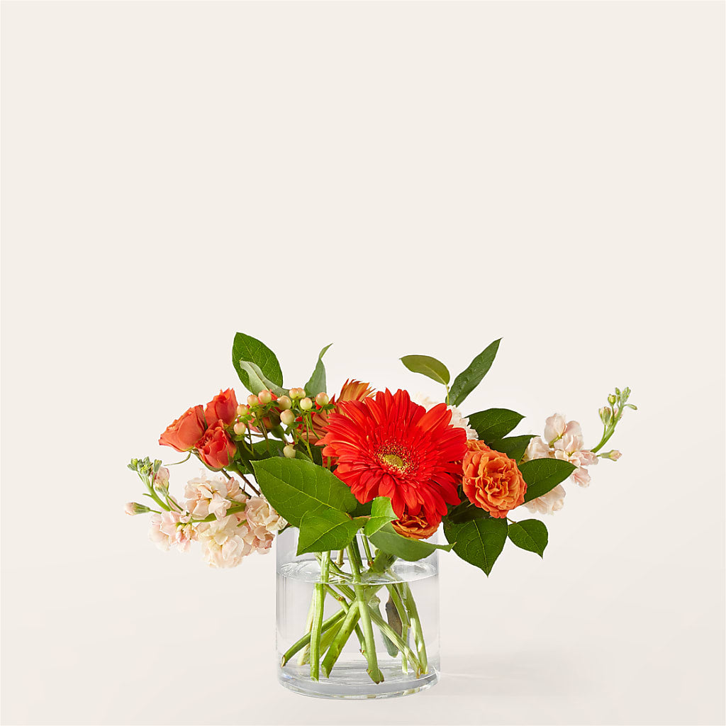 Paloma Please Bouquet – Rambling Rose Florist, Dunedin FL