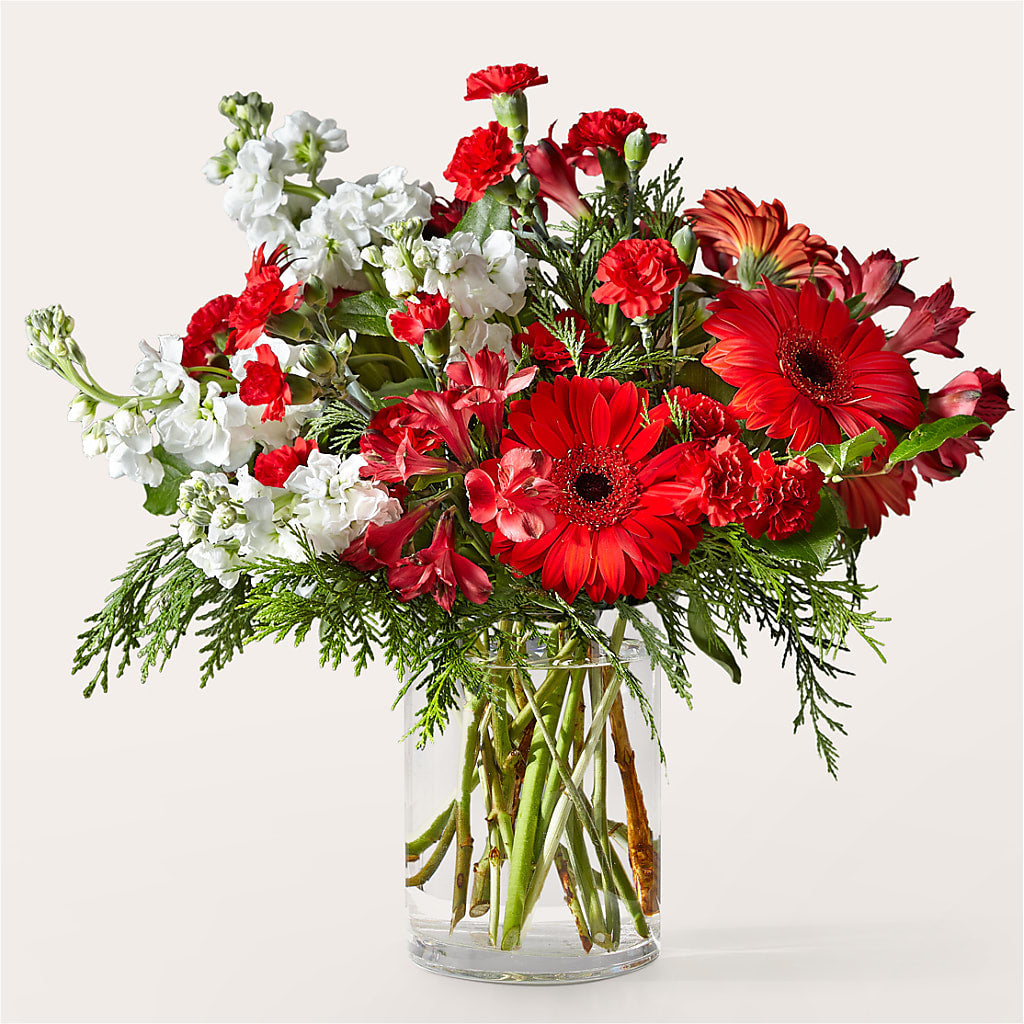 Holidaisy Bouquet – Rambling Rose Florist, Dunedin FL