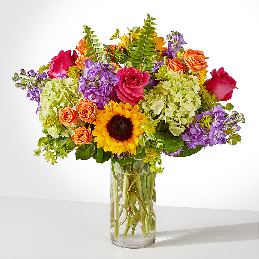 Vibrant Greetings Bouquet – Rambling Rose Florist, Dunedin FL