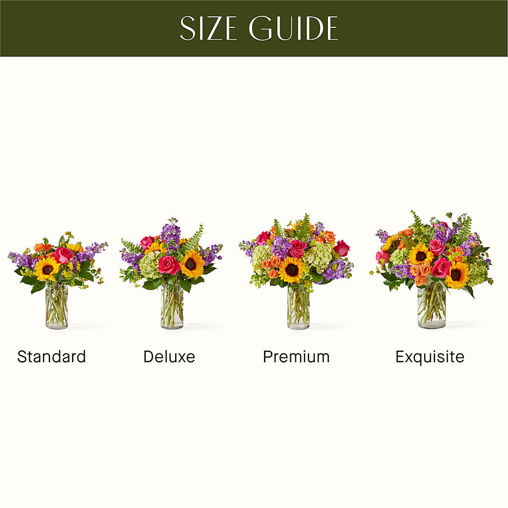 Vibrant Greetings Bouquet – Rambling Rose Florist, Dunedin FL