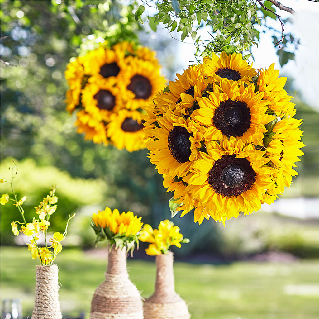 Sublime Garden Hanging Arrangement – Rambling Rose Florist, Dunedin FL