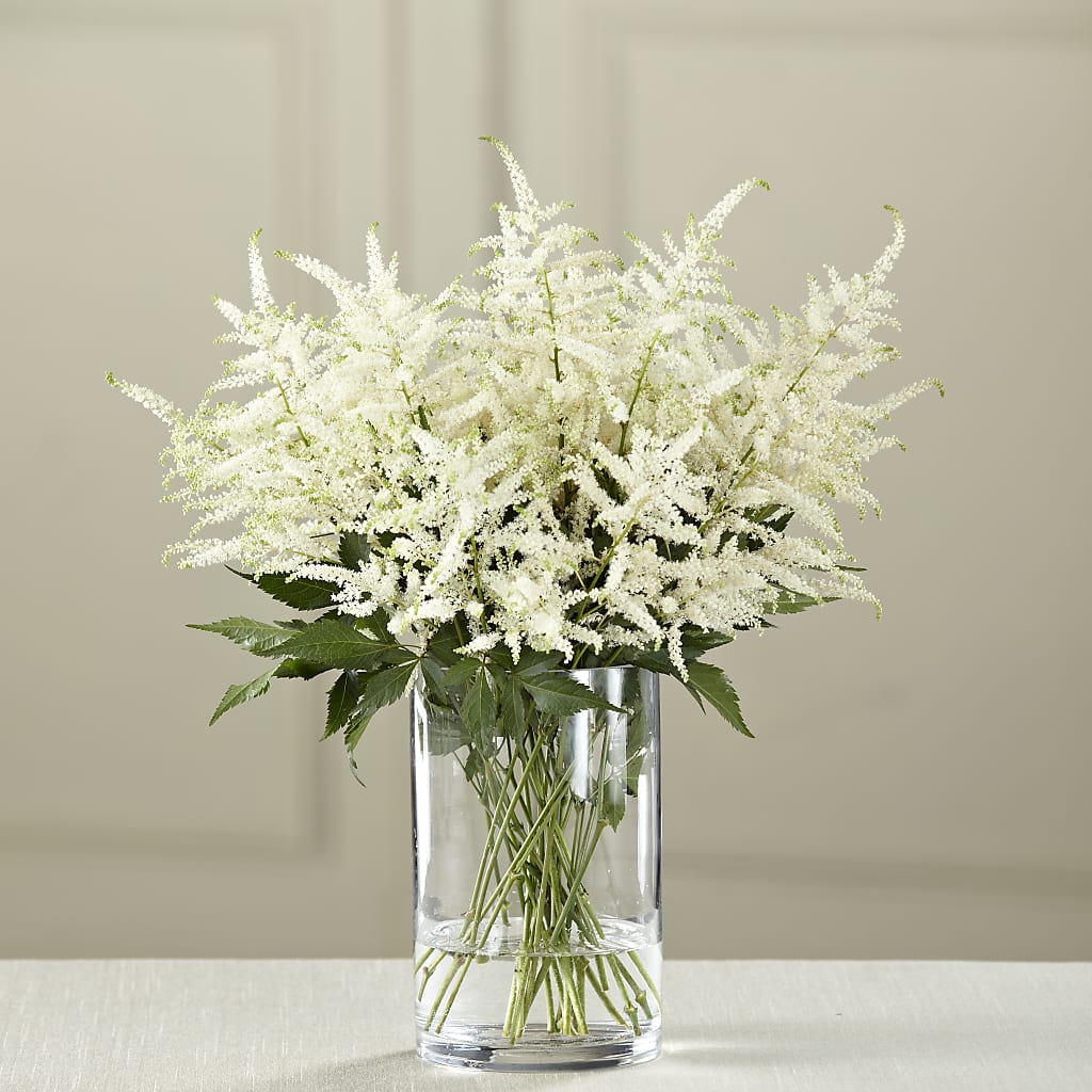 White Astilbe Bouquet – Rambling Rose Florist, Dunedin FL