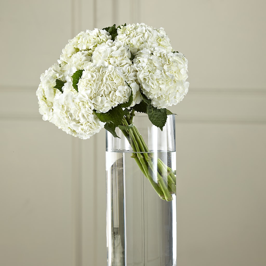 White Hydrangea Hand-Tied Bouquet – Rambling Rose Florist, Dunedin FL