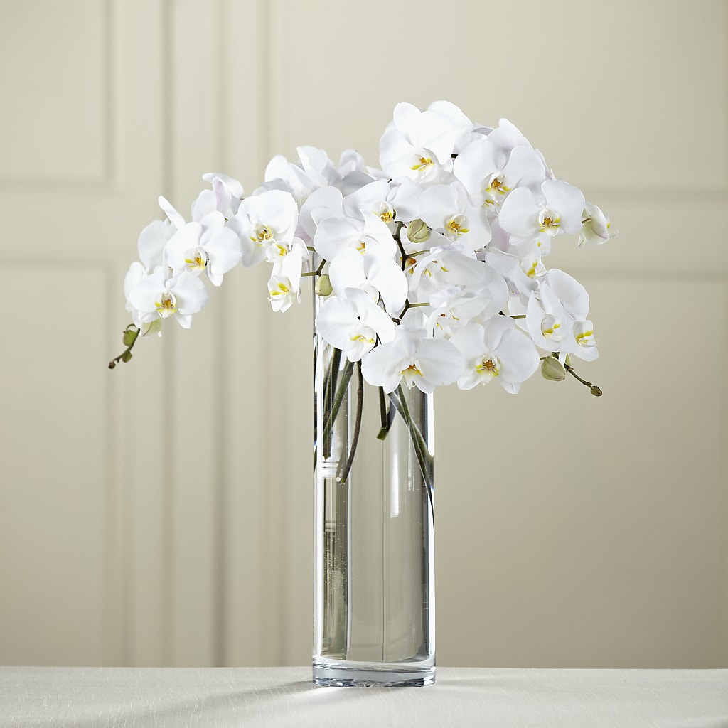 White Phalaenopsis Bouquet – Rambling Rose Florist, Dunedin FL