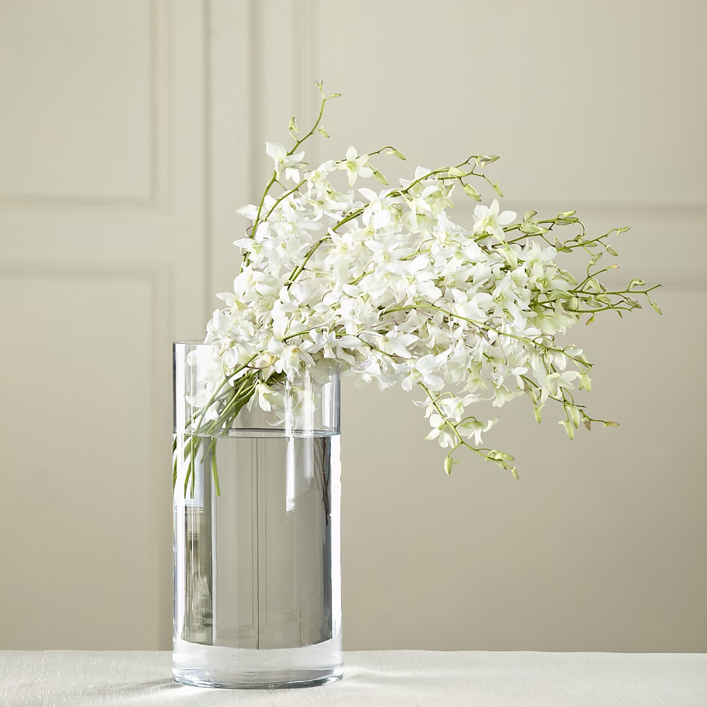 White Dendrobium Bouquet – Rambling Rose Florist, Dunedin FL