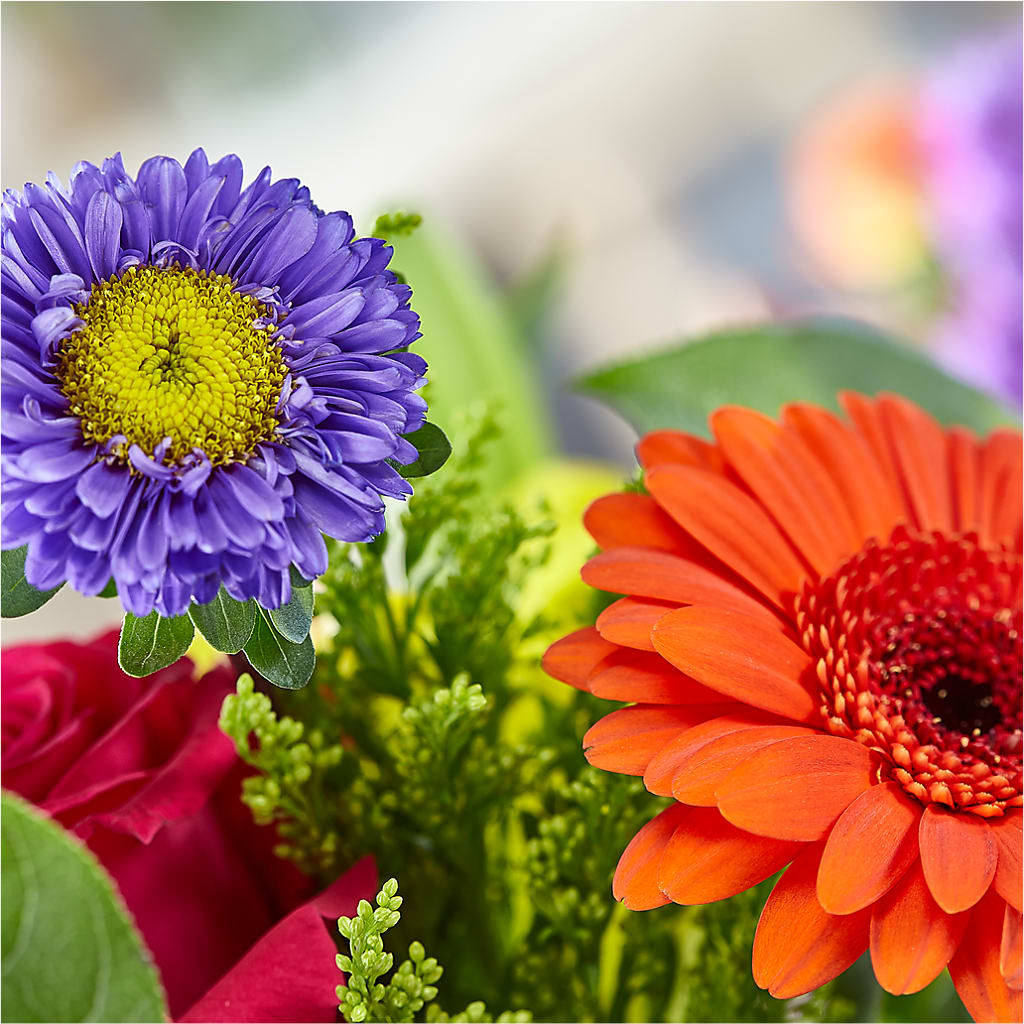 Bold & Bright – A Florist Original –  Rambling Rose Florist, Dunedin FL