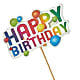 Happy Birthday Pick –  Rambling Rose Florist, Dunedin FL