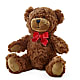 Adorable Plush Bear –  Rambling Rose Florist, Dunedin FL