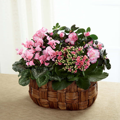 Pink Assortment –  Rambling Rose Florist, Dunedin FL