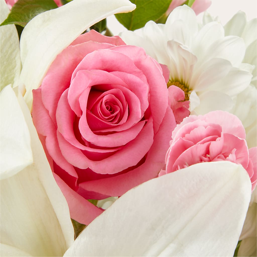 Whispers of Comfort Bouquet –  Rambling Rose Florist, Dunedin FL