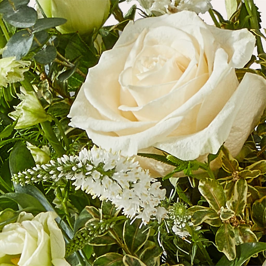 Cashmere Bouquet –  Rambling Rose Florist, Dunedin FL