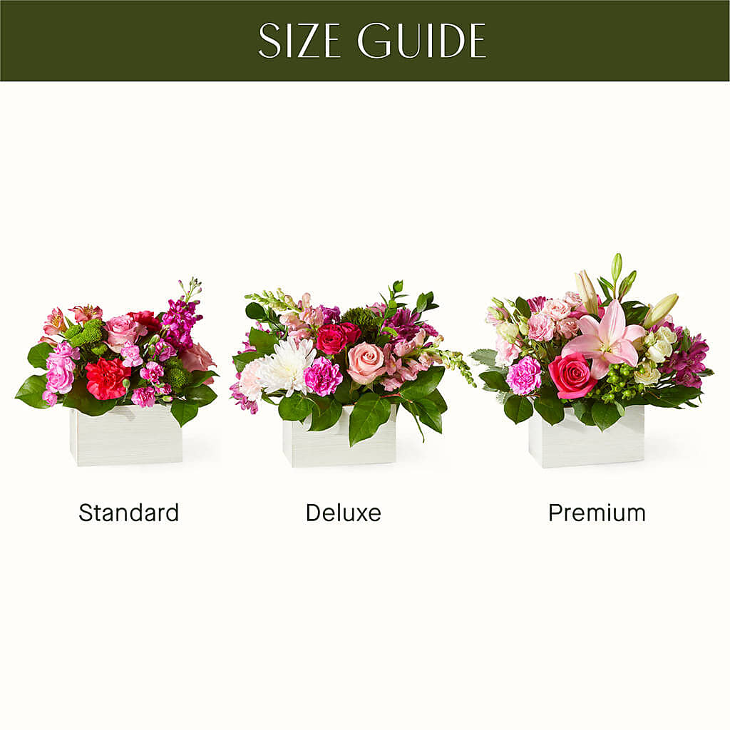 Sweetberry Box – A Florist Original –  Rambling Rose Florist, Dunedin FL