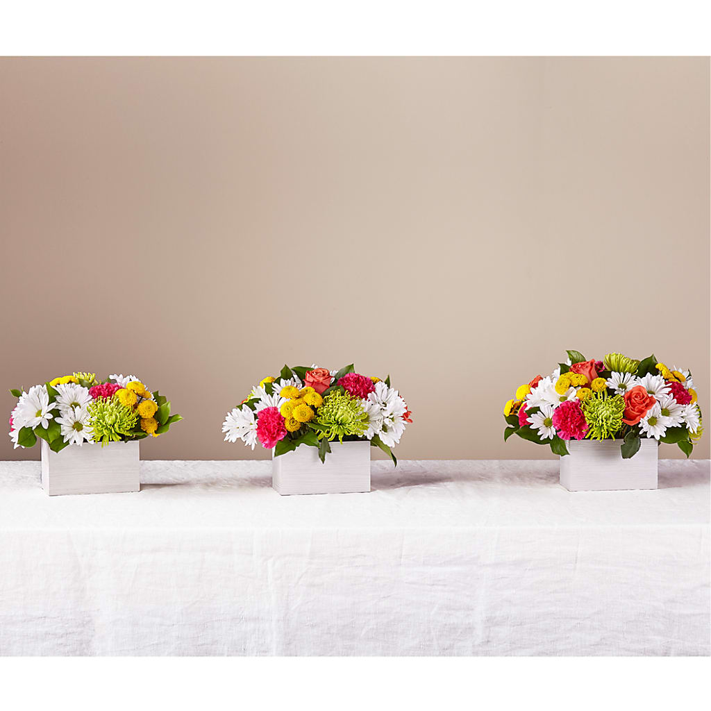 Sorbet Bouquet –  Rambling Rose Florist, Dunedin FL
