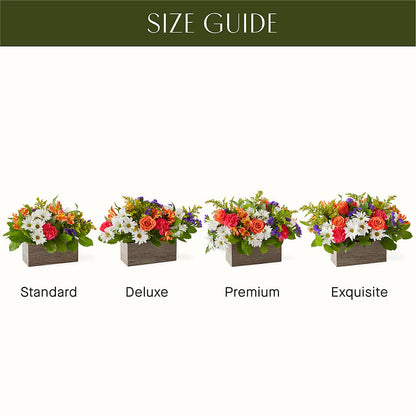 Oopsie Daisy Box Bouquet –  Rambling Rose Florist, Dunedin FL