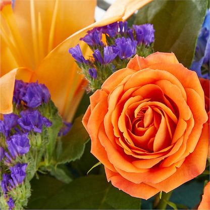 Radiant Citrus Box Bouquet –  Rambling Rose Florist, Dunedin FL