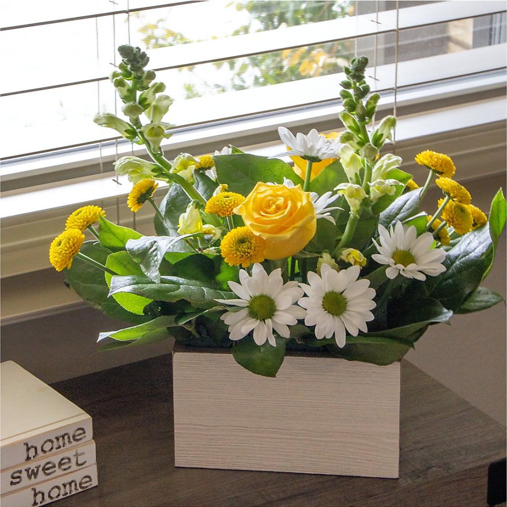 Sun Salutation Box Bouquet –  Rambling Rose Florist, Dunedin FL