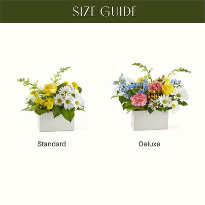 Sun Salutation Box Bouquet –  Rambling Rose Florist, Dunedin FL