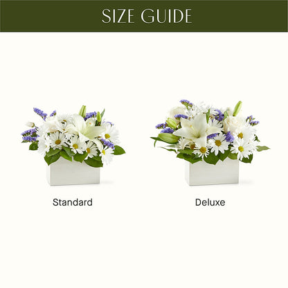 Beyond Blue Box Bouquet –  Rambling Rose Florist, Dunedin FL