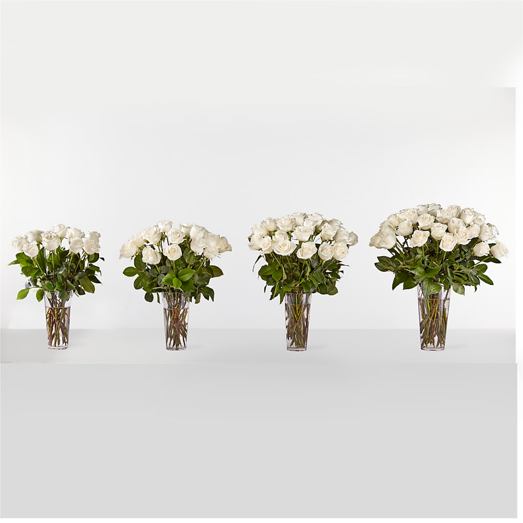 Long Stem White Rose Bouquet –  Rambling Rose Florist, Dunedin FL