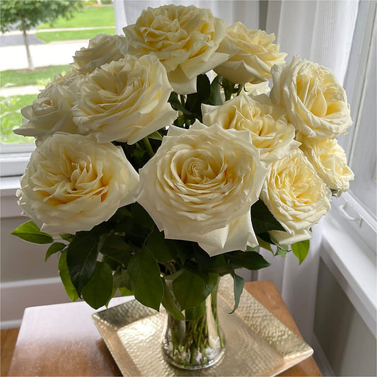 Long Stem Yellow Rose Bouquet –  Rambling Rose Florist, Dunedin FL