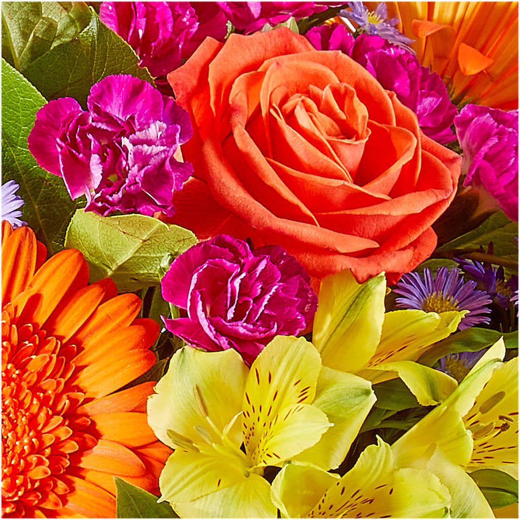 Tricks & Treats Pumpkin –  Rambling Rose Florist, Dunedin FL