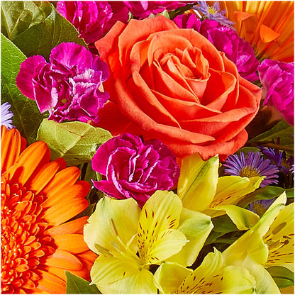 Tricks & Treats Pumpkin –  Rambling Rose Florist, Dunedin FL