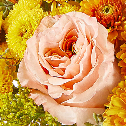Peachy Pumpkin –  Rambling Rose Florist, Dunedin FL