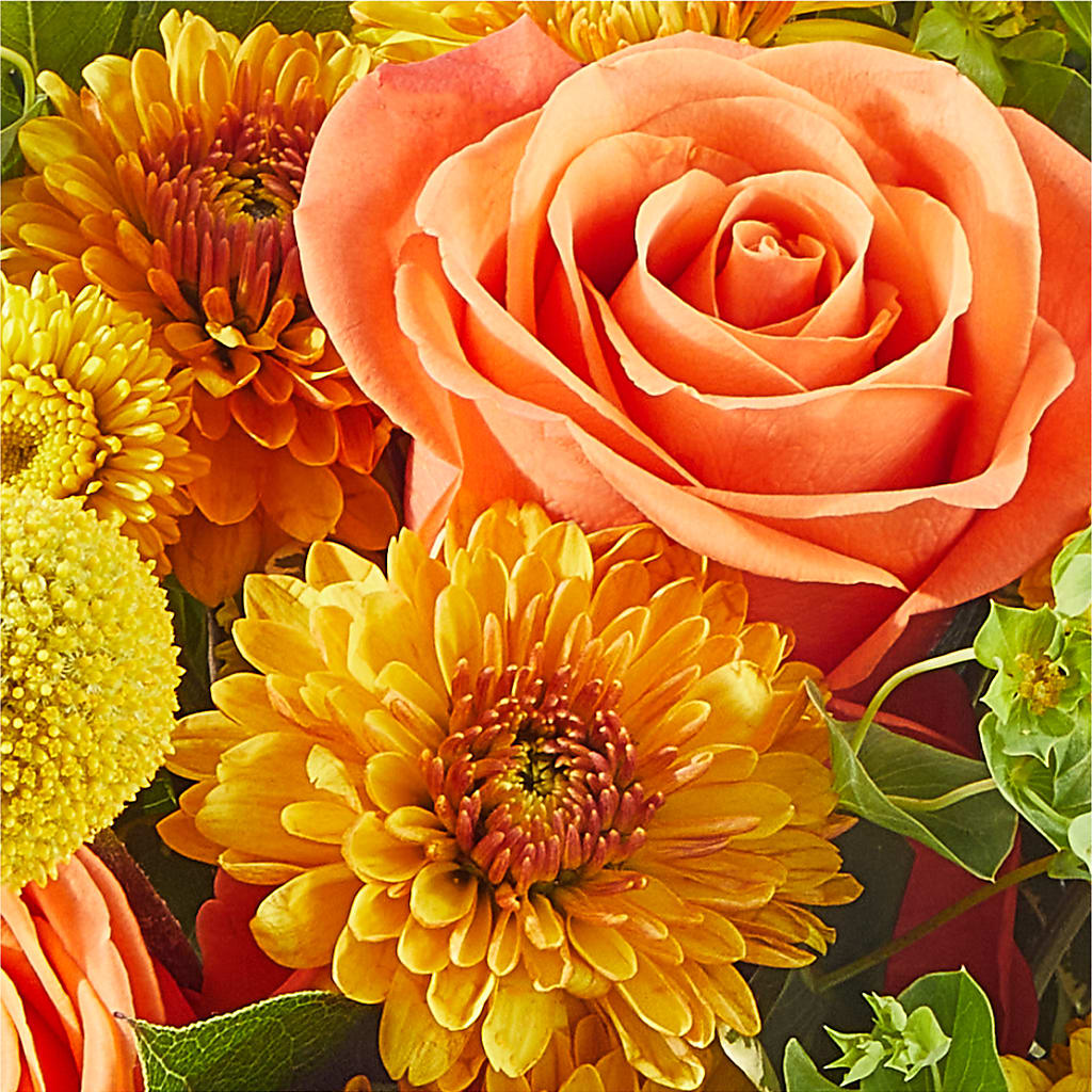 Gourdgeous Pumpkin –  Rambling Rose Florist, Dunedin FL
