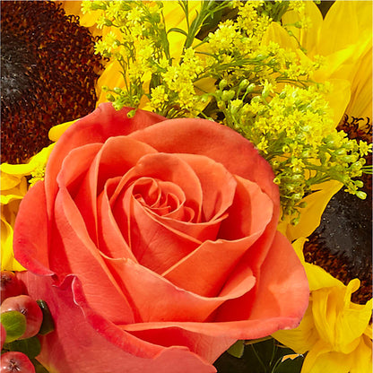 Pick of the Patch Pumpkin Bouquet –  Rambling Rose Florist, Dunedin FL