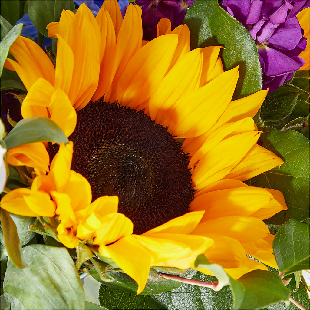 Catching Rays Bouquet –  Rambling Rose Florist, Dunedin FL
