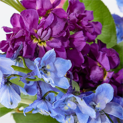 Twilight Glow Bouquet –  Rambling Rose Florist, Dunedin FL