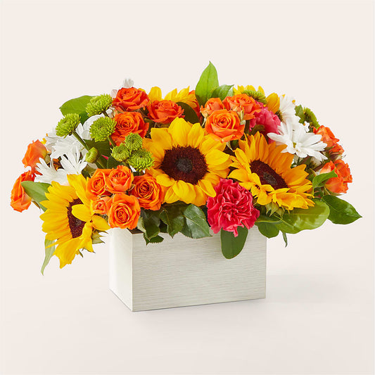 Sun-drenched Blooms Box Bouquet –  Rambling Rose Florist, Dunedin FL