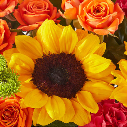 Sun-drenched Blooms Box Bouquet –  Rambling Rose Florist, Dunedin FL