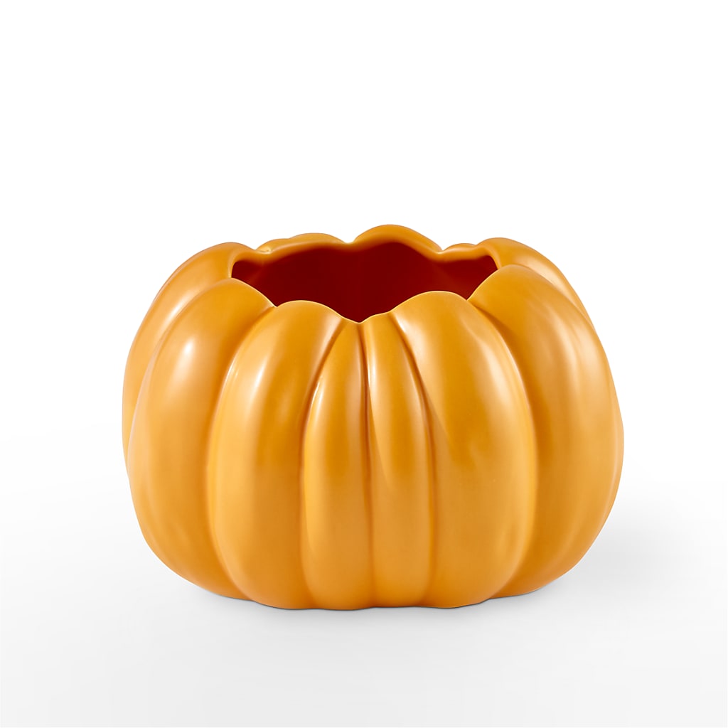 Pick of the Patch Pumpkin Bouquet –  Rambling Rose Florist, Dunedin FL