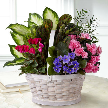 Peaceful Garden Planter –  Rambling Rose Florist, Dunedin FL